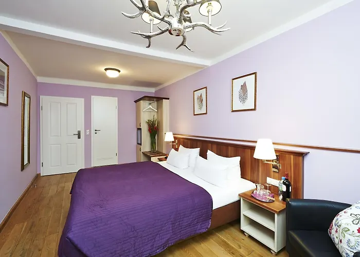 Hotel Elch Boutique